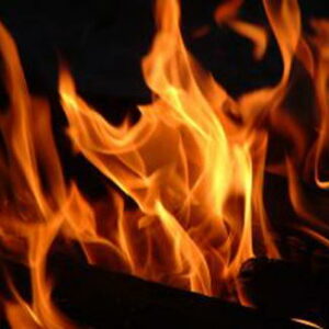 Vuur