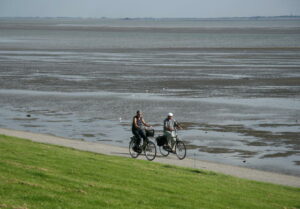 Fietsen langs de dijk