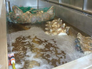 Botten in de biotex