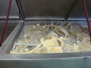 Bultrug Hollus Foto Ans Molenkamp