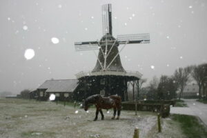 Molen in de sneeuw