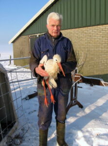Ids Polet met de ooievaar