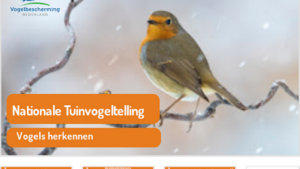 Tuinvogeltelling