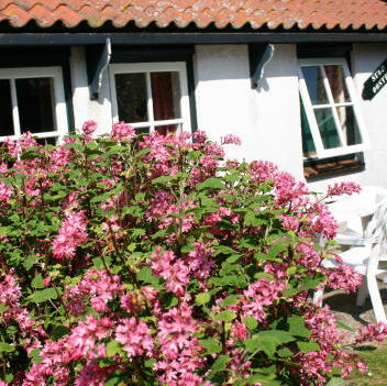 Vakantieverblijven