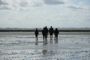 Wadwandeling met Amelander visser