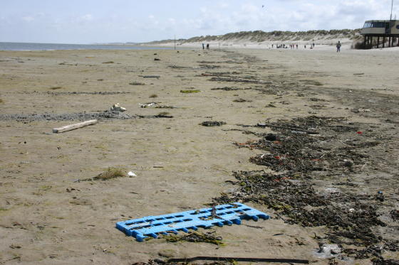 Strand Ballum
