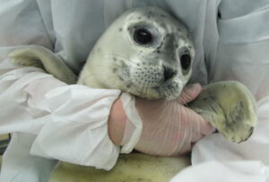 Daan Foto Lenie 't Hart