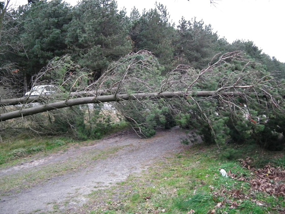 Stormschade