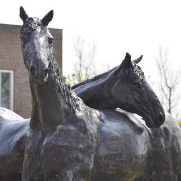 Amelander kampioen op Paardenmarathon Driezum-Wâlterswâld