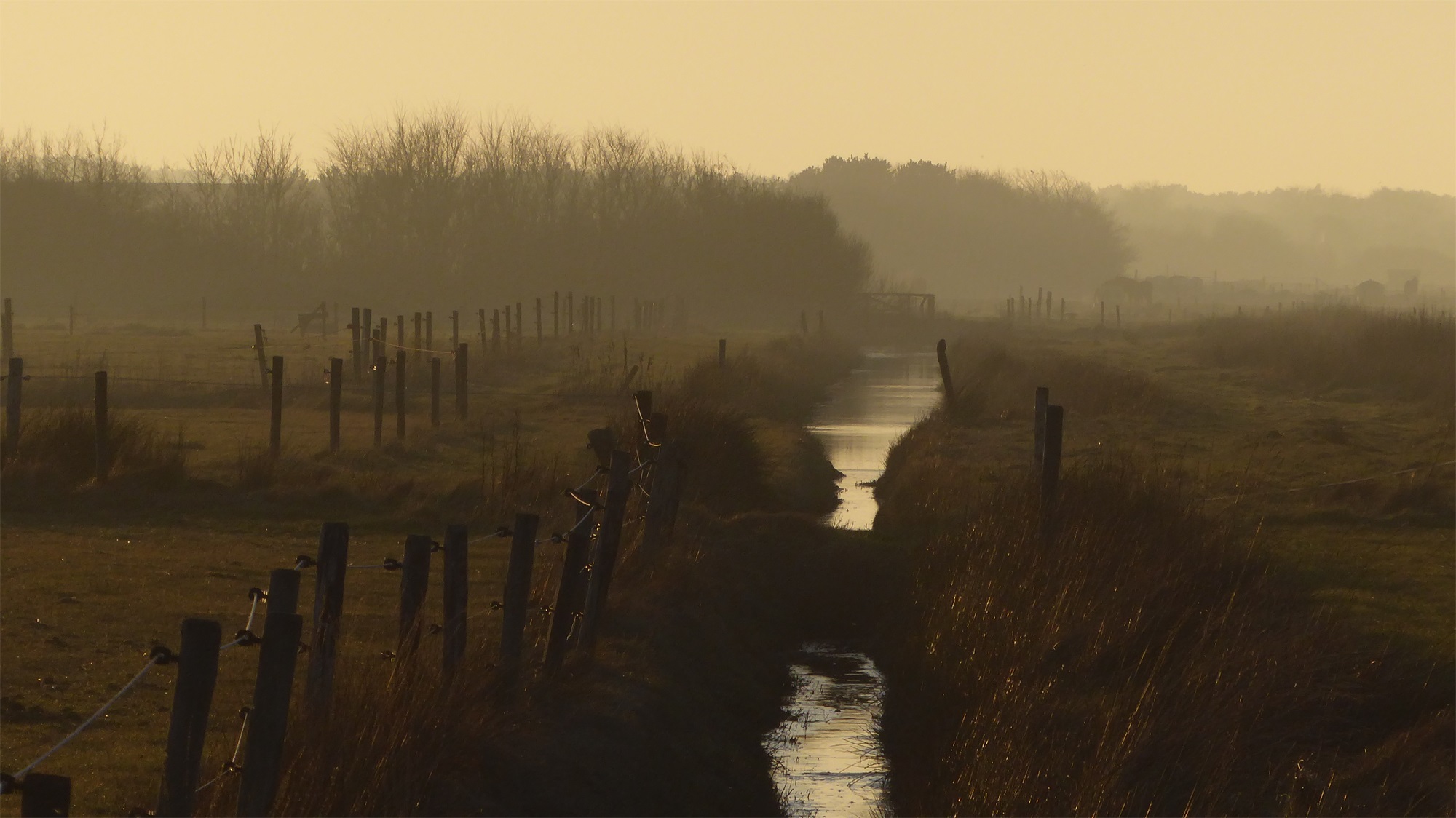 11. Mijn Ameland Foto