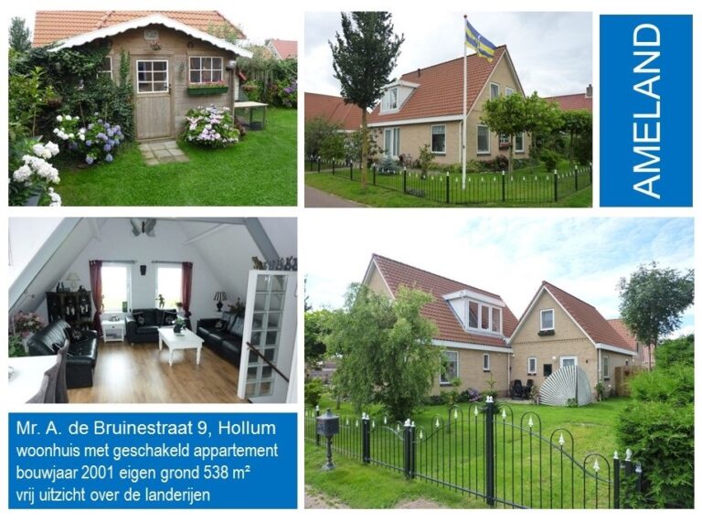 Mr. Adriaan de Bruinestraat 9