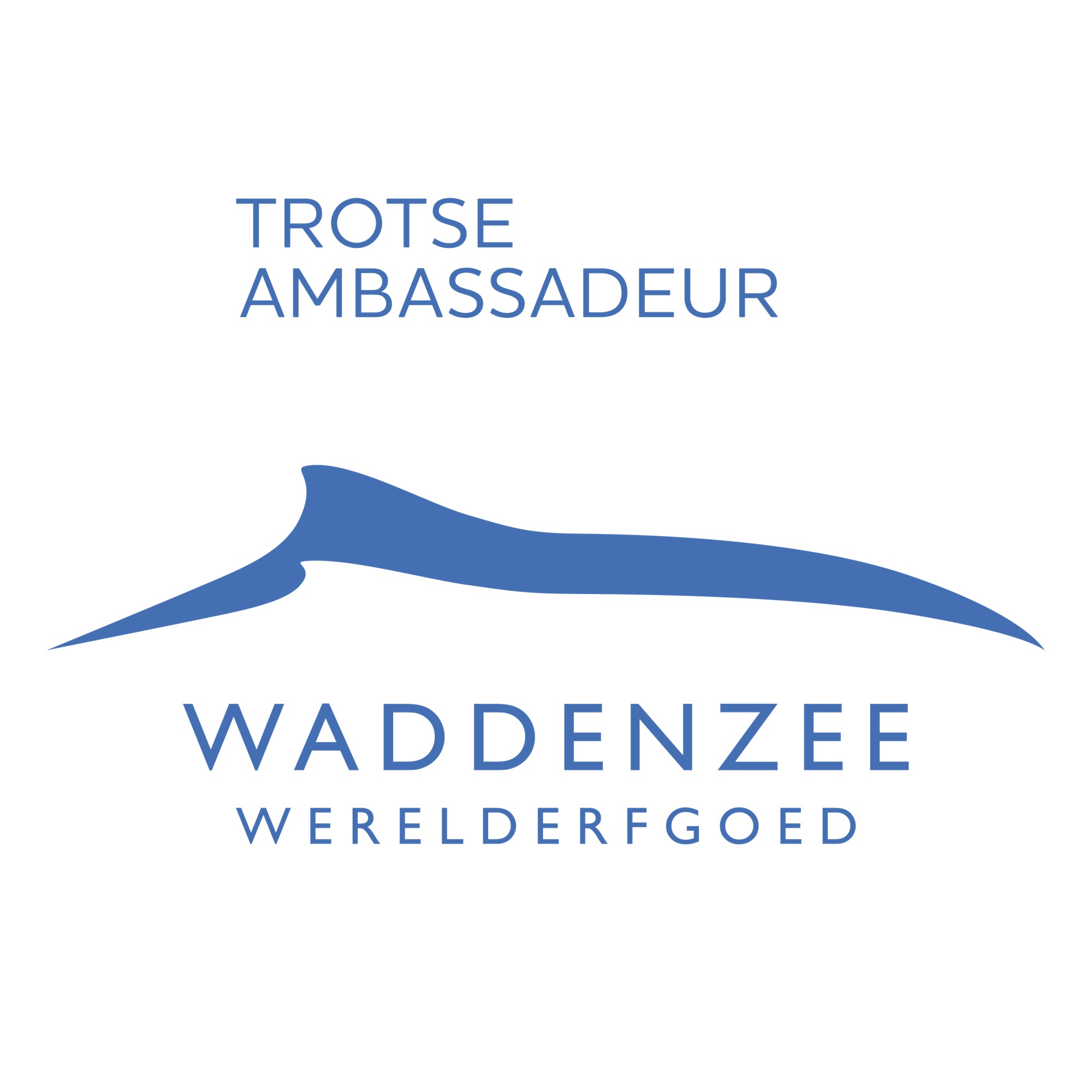 Werelderfgoed ambassadeur