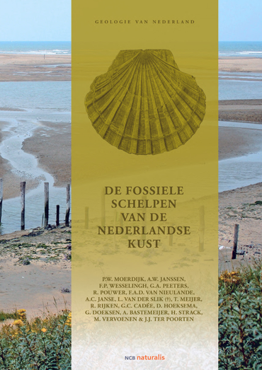 Fossiele schelpen