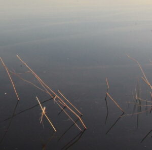 Waterpaden op Ameland