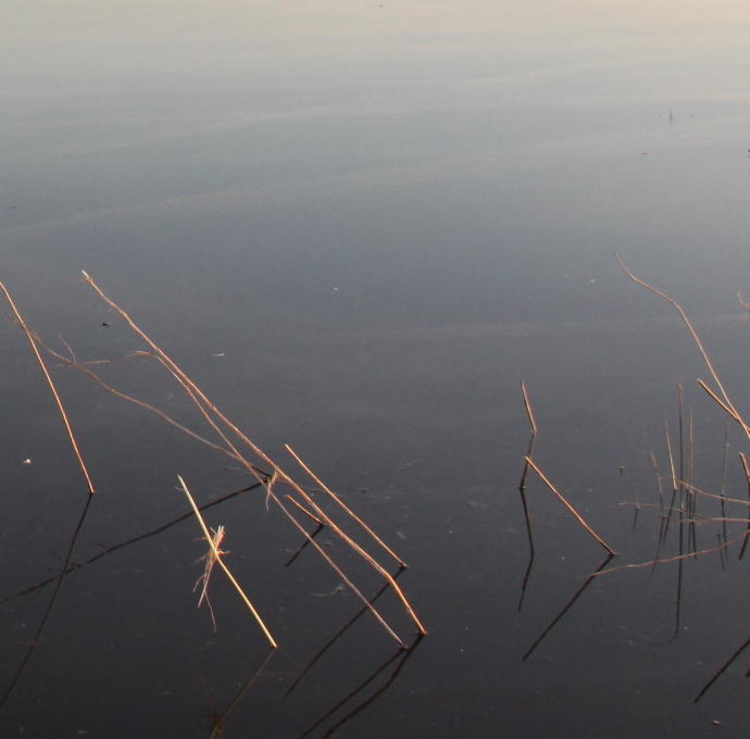 Waterpaden op Ameland
