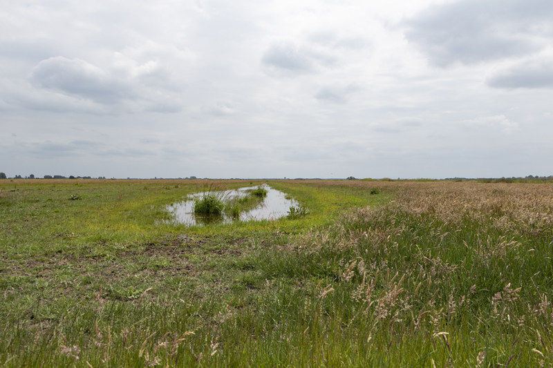 Fryslân