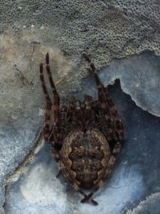 50. Mijn Ameland Foto