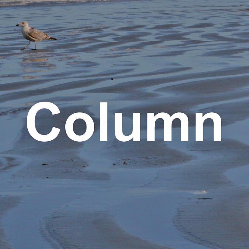 Column - De Doruns