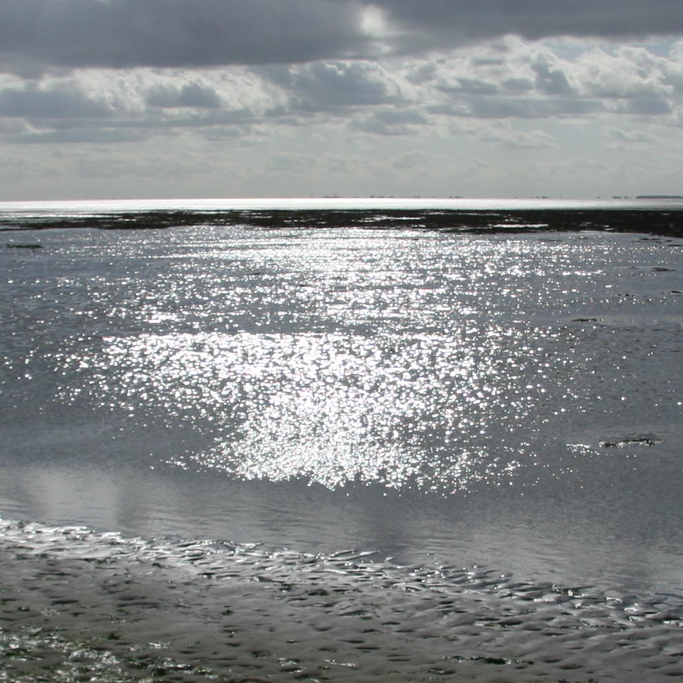 Dag van het Wad 2016