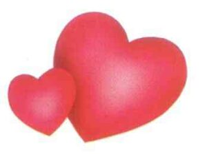 Kussen voor gratis diner Amelander Kaap