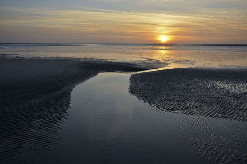 Waddenzee