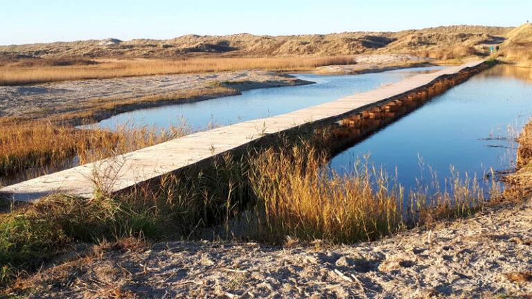 Mijn Ameland foto