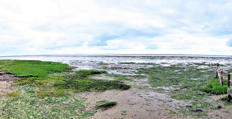 25. Mijn Ameland Foto