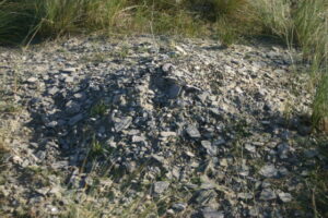 Ameland