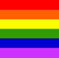 Regenboogvlag komt op Ameland niet uit de kast