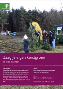 kerstgroen zagen