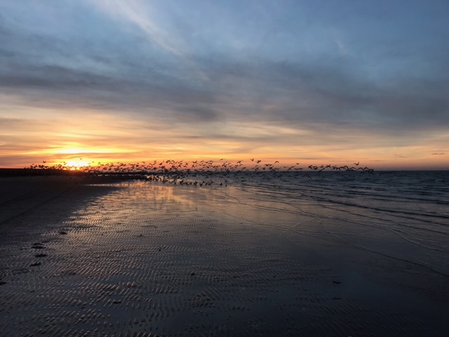 7. Mijn Ameland Foto