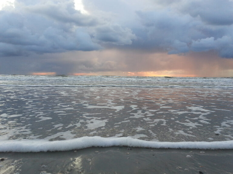 Regenbui