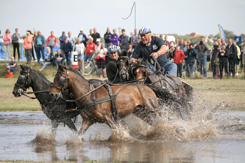 paardenmarathon