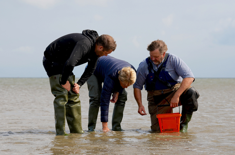 Waddenzee