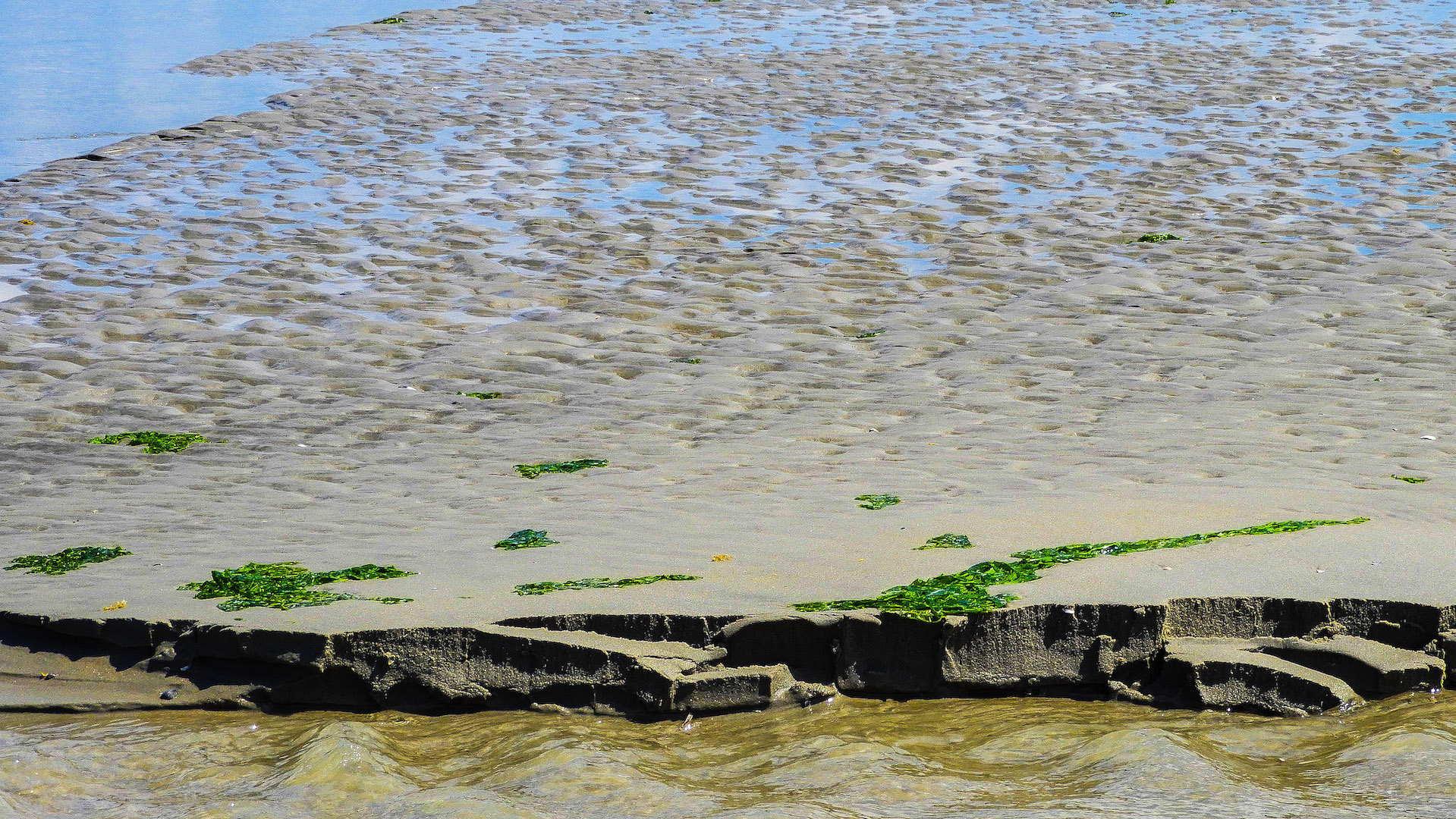 53. Mijn Ameland Foto