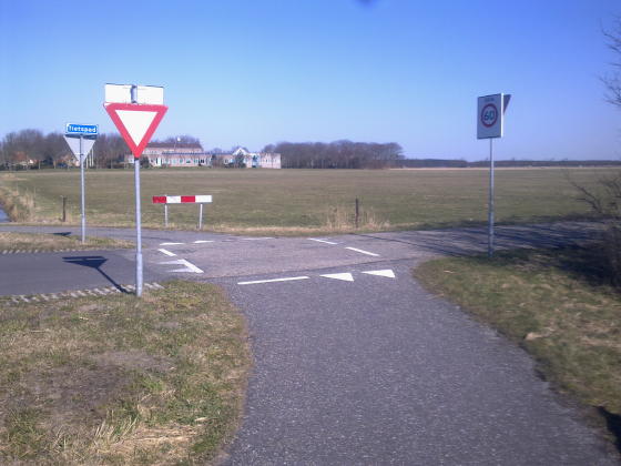 Haaientanden
