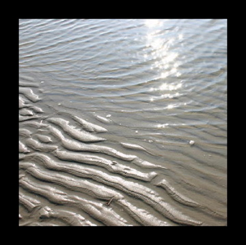 Dodelijk ongeluk op Waddenzee