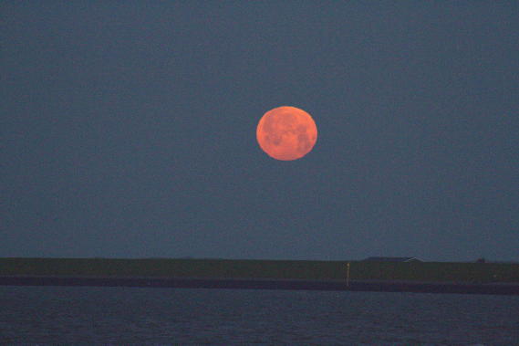 Volle maan