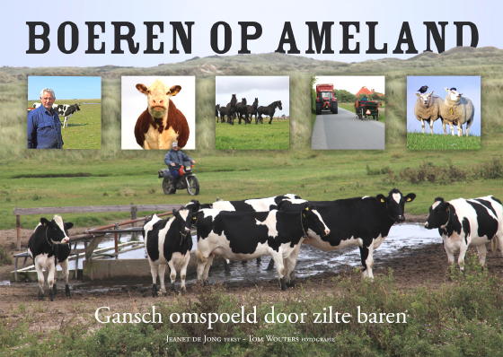 Boeren op Ameland