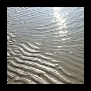 Open dag begrafenisverenigingen Ameland