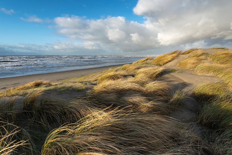 Dag van de Duinen