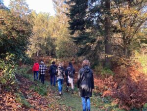 herfst wandeling