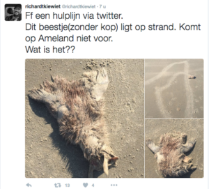 Tweet van Richard Kiewiet