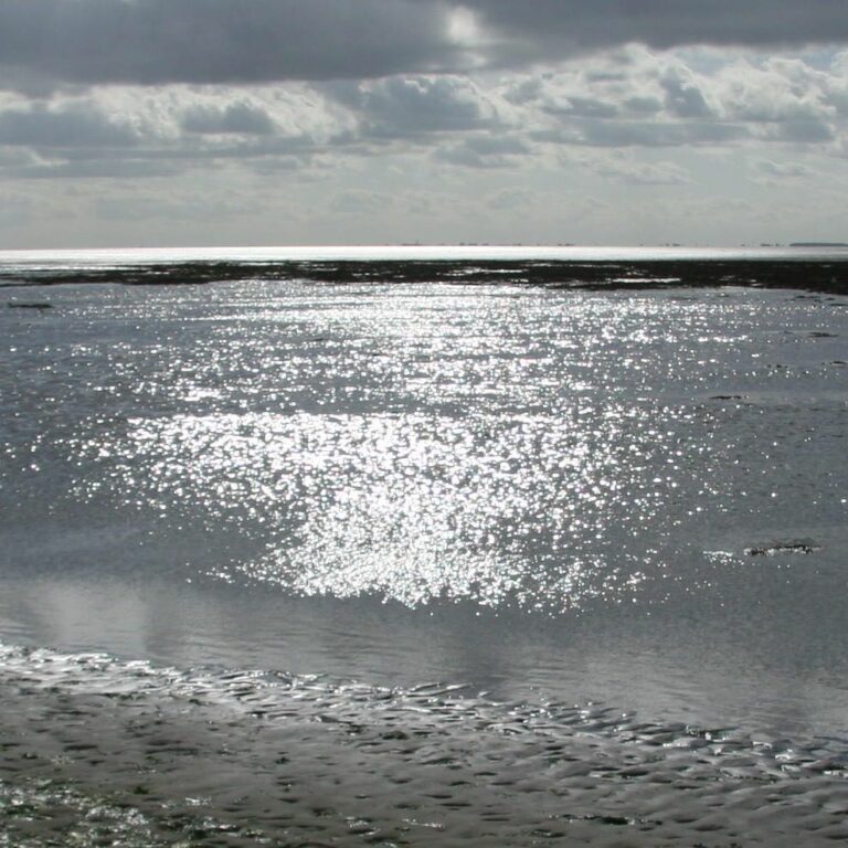 Extra maatregelen Waddenzee niet nodig