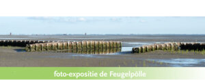 Feugelpôlle