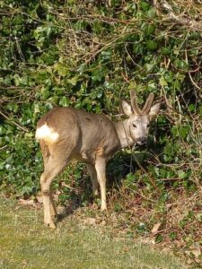 7. Mijn Ameland Foto