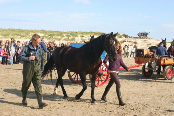 Ameland