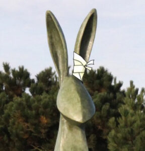 Haas kan niet op Ameland blijven