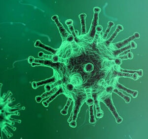 Vaccineren Friese Wadden start dinsdag op Ameland 