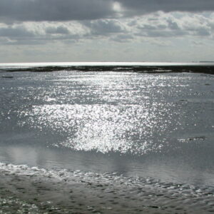 Waddenvereniging